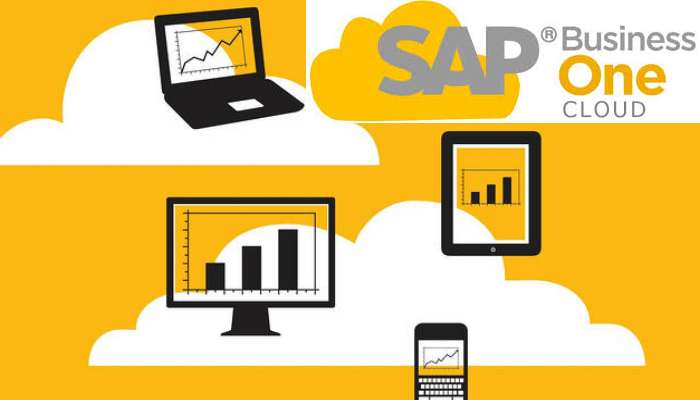 SAP Business One Cloud 2