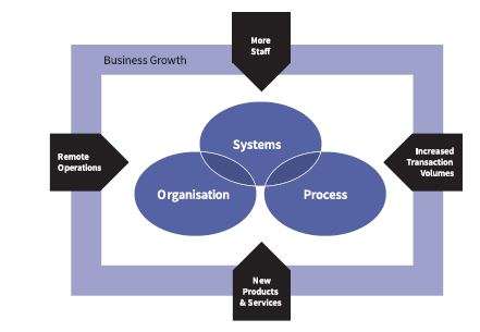 business growth diagram